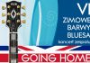 VI Zimowe Barwy Bluesa koncert zespołu GOING HOME