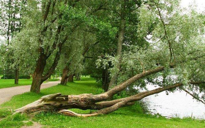 orkan-ksawery-w-gminie-zator orkan ksawery w gminie zator