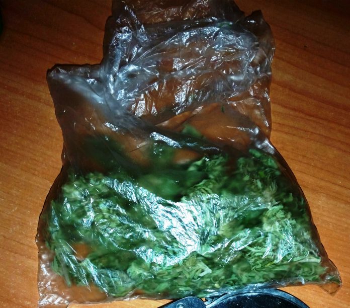 KPP Oświęcim zabezpieczona marihuana