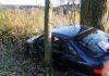 #PRZECISZÓW Dwa drzewa stanęły na drodze pijanej sprawczyni kolizji