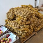 Warzywniak Borówka. Zator. Warzywa i owoce