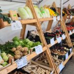 Warzywniak Borówka. Zator. Warzywa i owoce