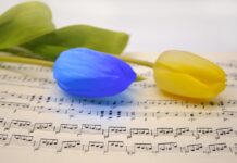 Koncert z okazji Dnia Kobiet