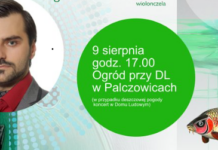 Operetka pod chmurką w Palczowicach